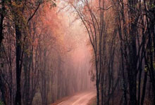 KY体育-里程碑夜！布鲁克林篮网单刀错失，全明星赛今晚刷纪录，震撼外界，赛季目标并未改变的简单介绍