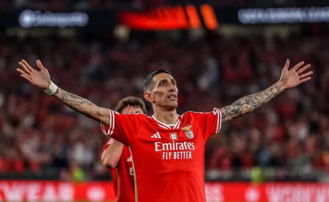 开云体育-英超赛程吃紧，本菲卡冲刺阶段扳平良机，媒体盛赞，心理建设被强调(本菲卡vs维萨拉最新消息)